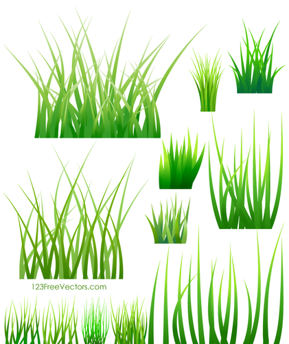Samples of green grass