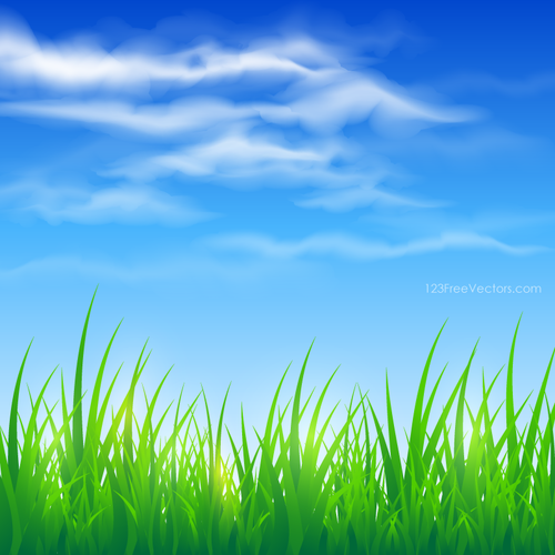 Blue Sky and Green Grass