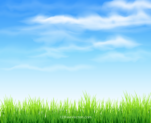 Sky and Grass Background