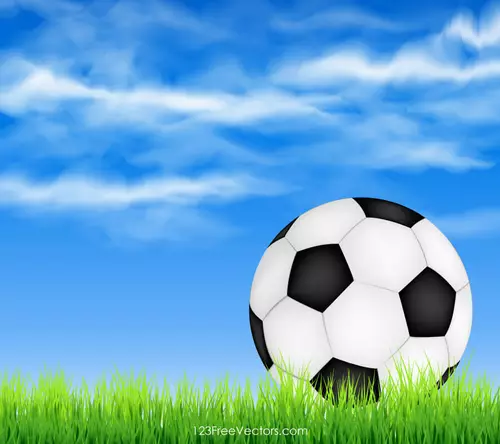 Soccer ball on green grass