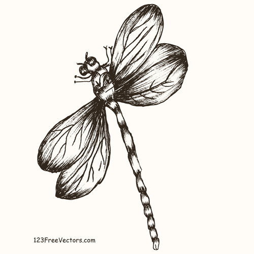 Dragonfly