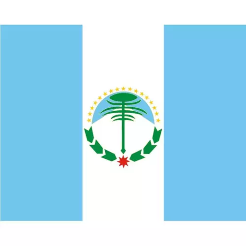 Flag of Neuquen province