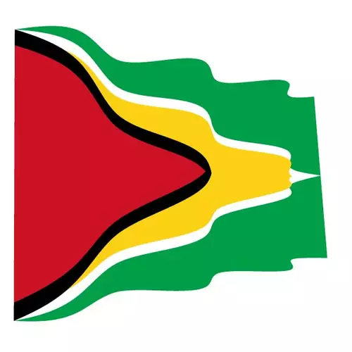 Wavy flag of Guyana