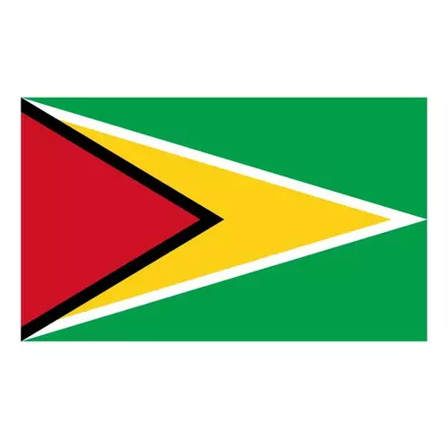 Flag of Guyana