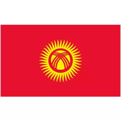 Vector flag of Kyrgyzstan