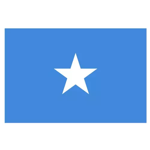 Vector flag of Somalia