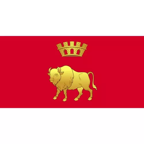 Flag of Hrodna region