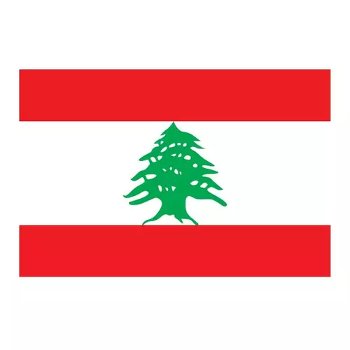 Vector flag of Lebanon