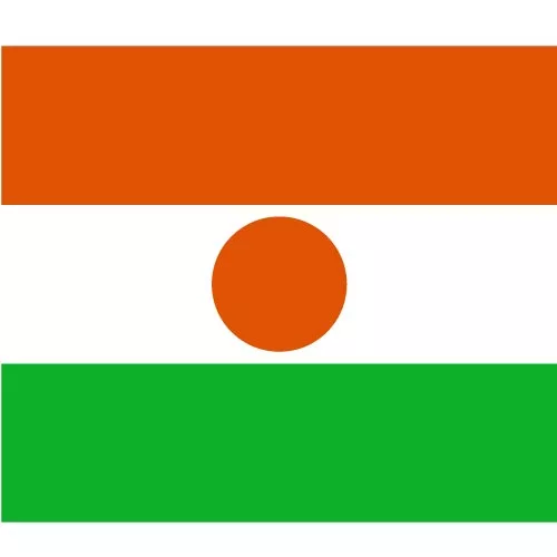 Vector flag of Niger