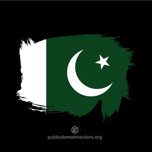 Painted flag of Pakistan