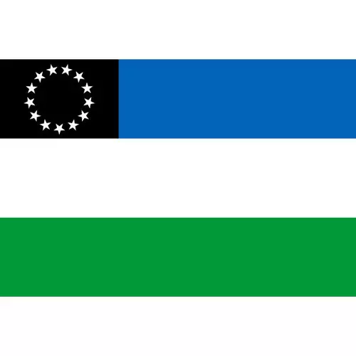 Flag of Rio Negro