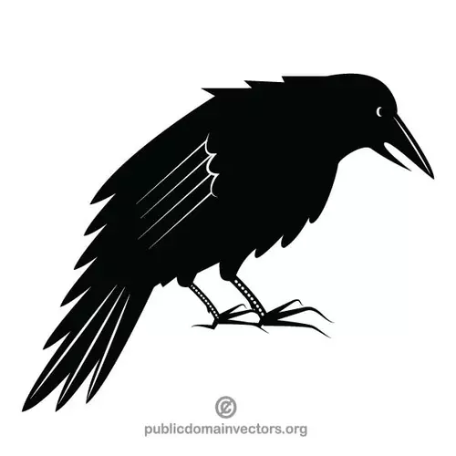 Black crow