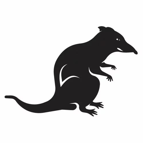 Black rat silhouette