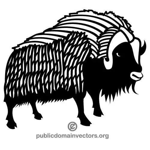 Buffalo vector image