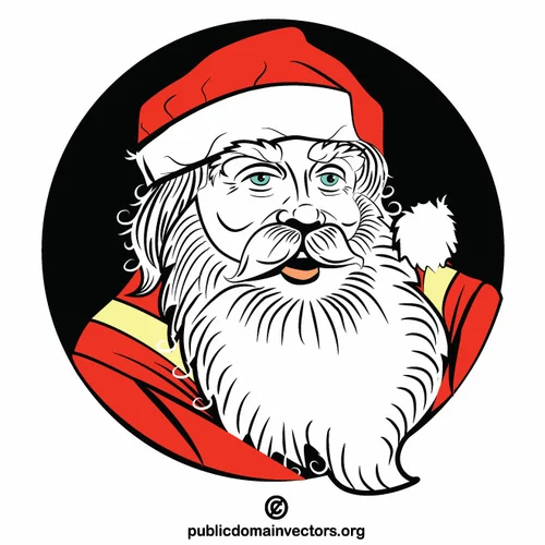 Santa Claus portrait