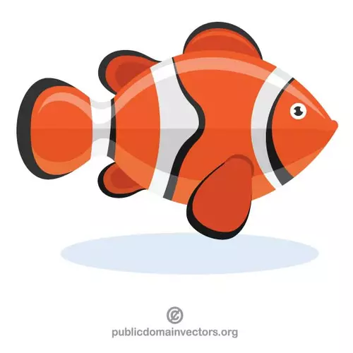 Clownfish