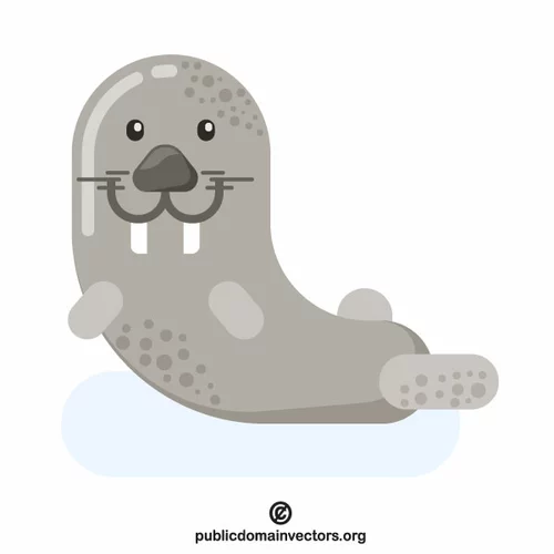 Walrus vector clip art