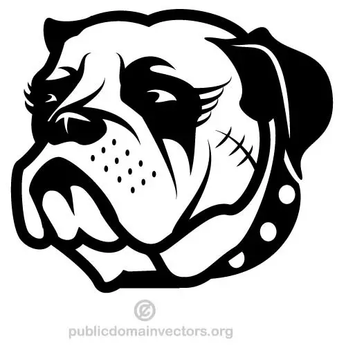Boxer dog vector graphics