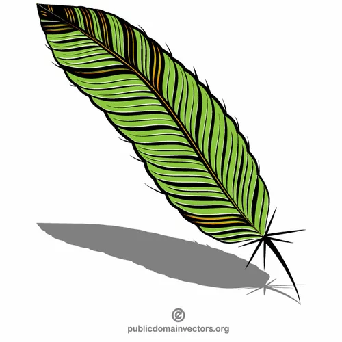 Quill green feather