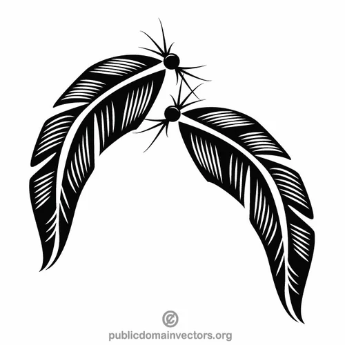 Feathers vector graphics