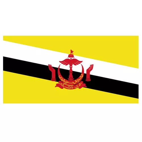 Vector flag of Brunei