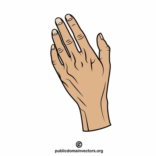 Human hand vector clip art