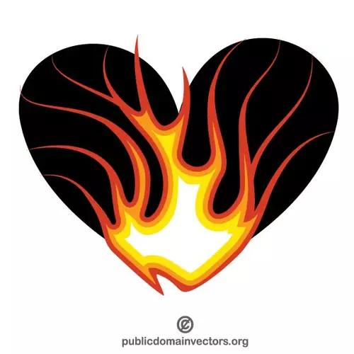 Heart on fire