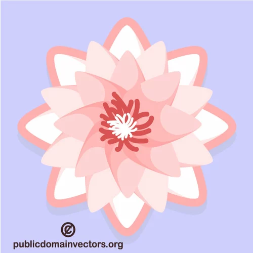 Lotus flower on blue background