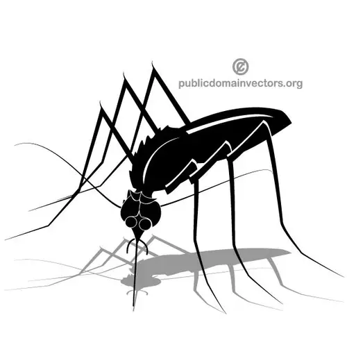 Mosquito