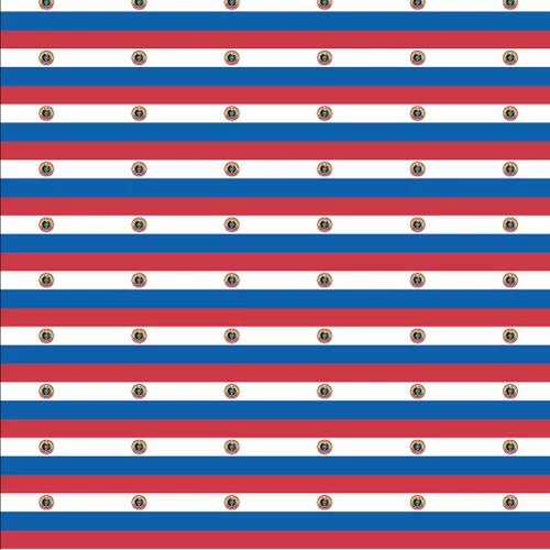 Flag of Paraguay seamless pattern