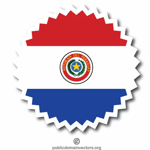 Paraguay national flag