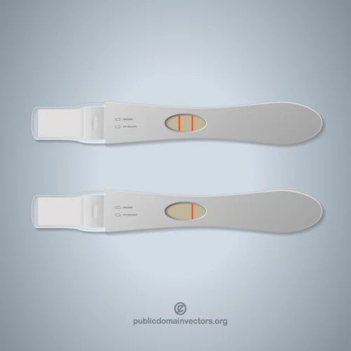 Pregnancy test vector image