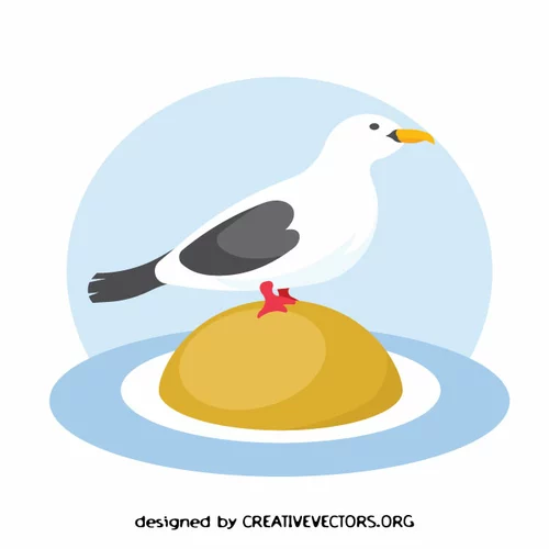 Seagull vector clip art