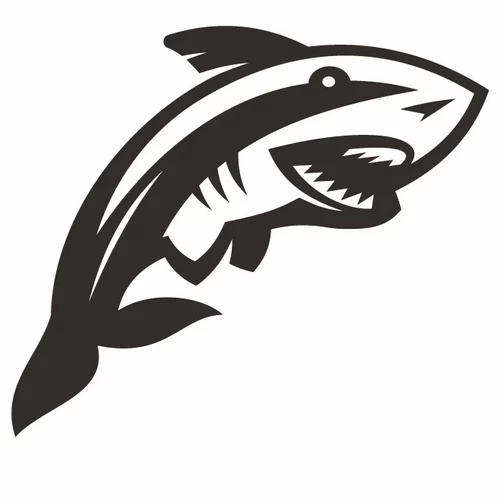 Shark silhouette graphics