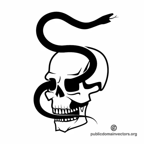 Skull with black snake