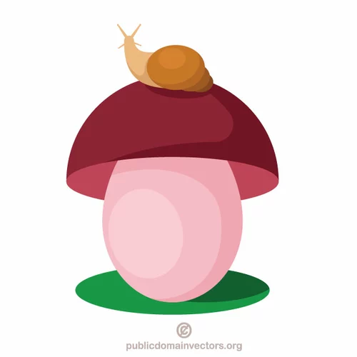 Snail on a mushroom