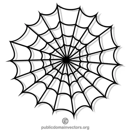 Spider web