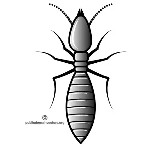 Termite vector image