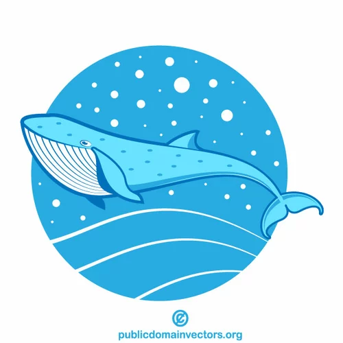 Blue whale