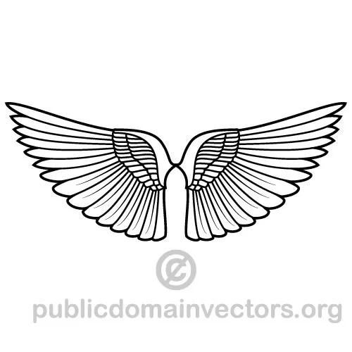 Wings vector drawing