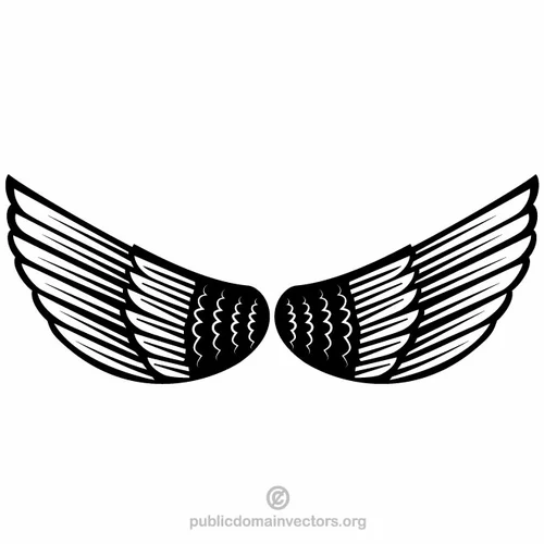 Wings feathers