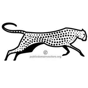 Cheetah vector image