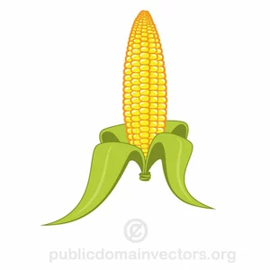 Corn vector graphics