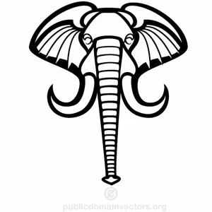 Elephant vector graphics