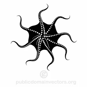 Octopus vector image