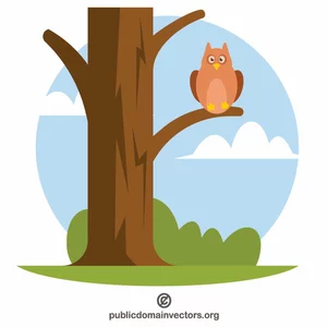 Owl on the tree